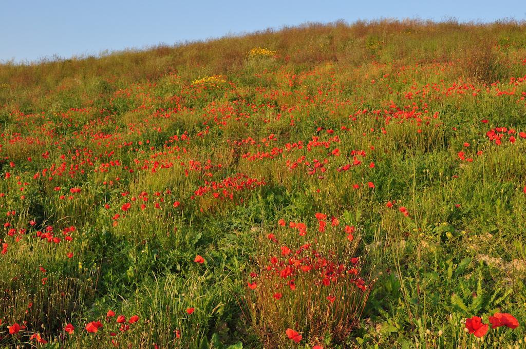 הוילה צ'רטאלדו Agriturismo Il Torrione מראה חיצוני תמונה