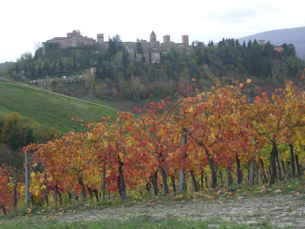 הוילה צ'רטאלדו Agriturismo Il Torrione מראה חיצוני תמונה