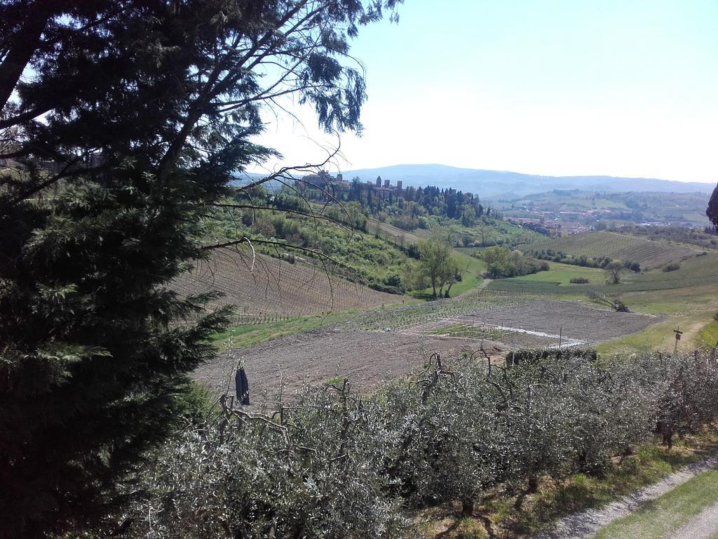 צ'רטאלדו Agriturismo Il Torrione מראה חיצוני תמונה