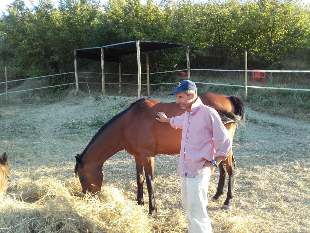 הוילה צ'רטאלדו Agriturismo Il Torrione מראה חיצוני תמונה