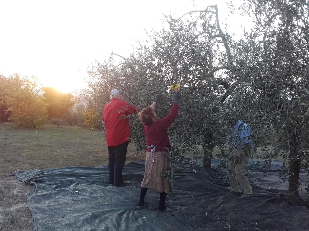 הוילה צ'רטאלדו Agriturismo Il Torrione מראה חיצוני תמונה