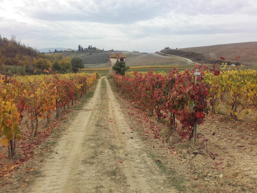 הוילה צ'רטאלדו Agriturismo Il Torrione מראה חיצוני תמונה