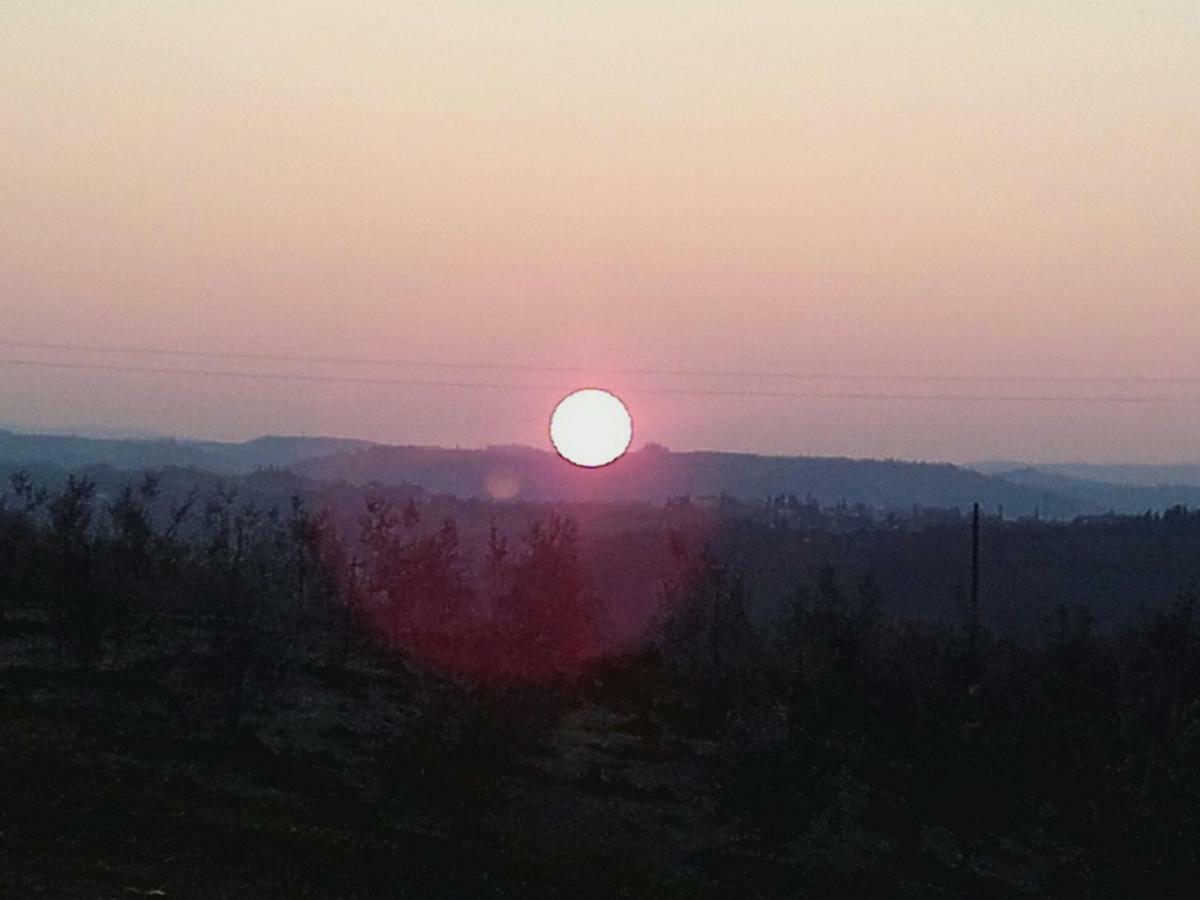 הוילה צ'רטאלדו Agriturismo Il Torrione מראה חיצוני תמונה