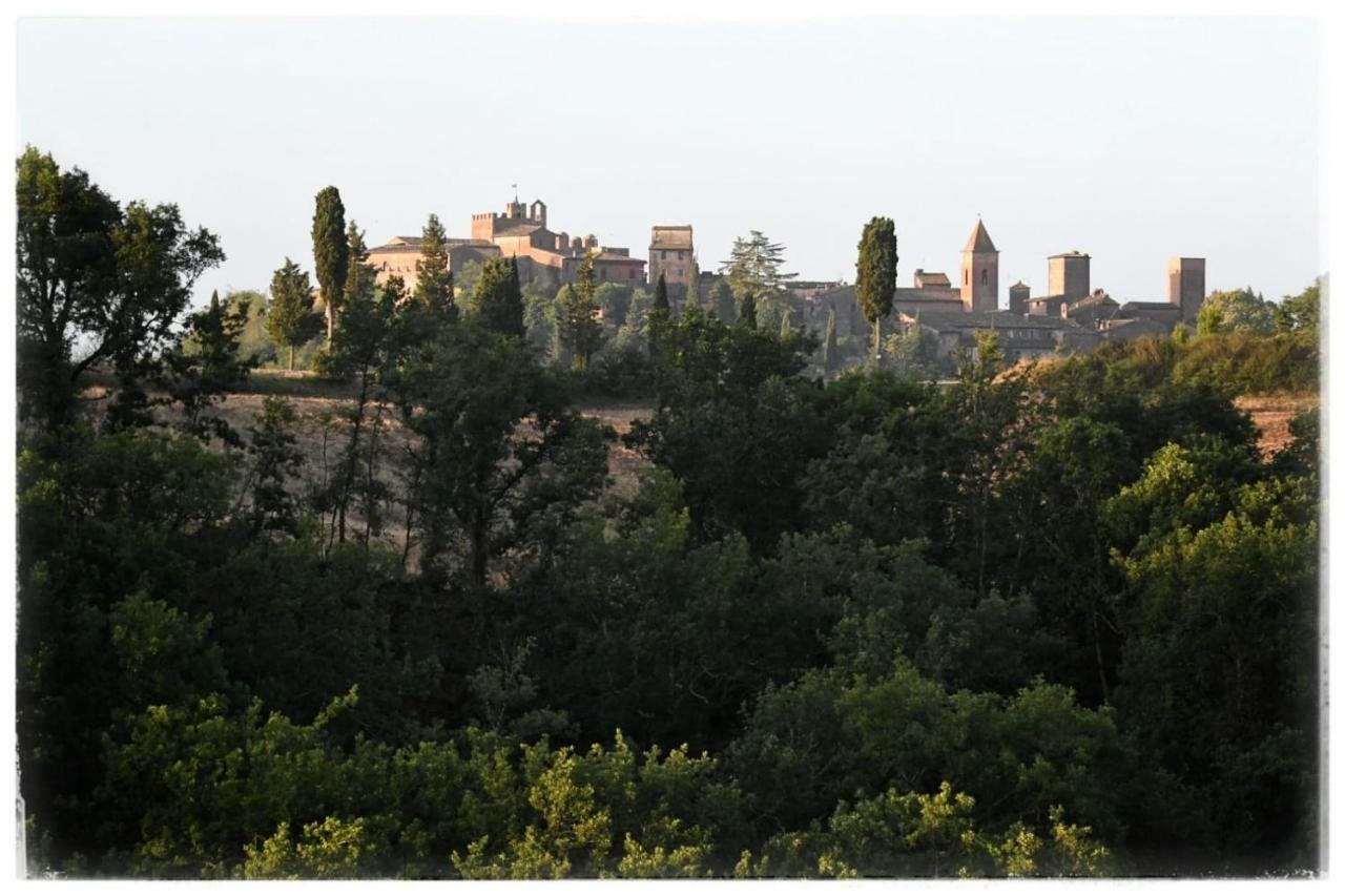 צ'רטאלדו Agriturismo Il Torrione מראה חיצוני תמונה
